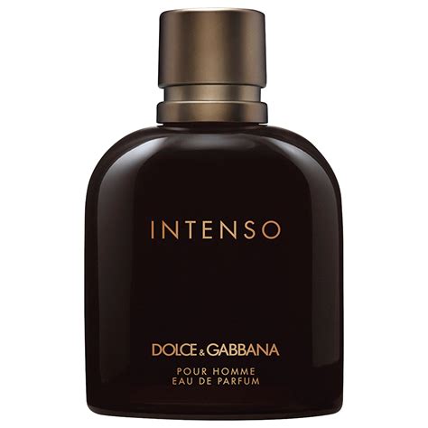 dolce gabbana intenso recenzija|dolce and gabbana intenso notes.